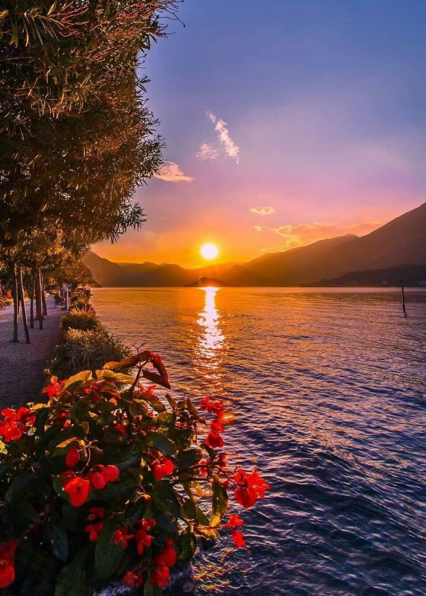 Добрый вечер природа