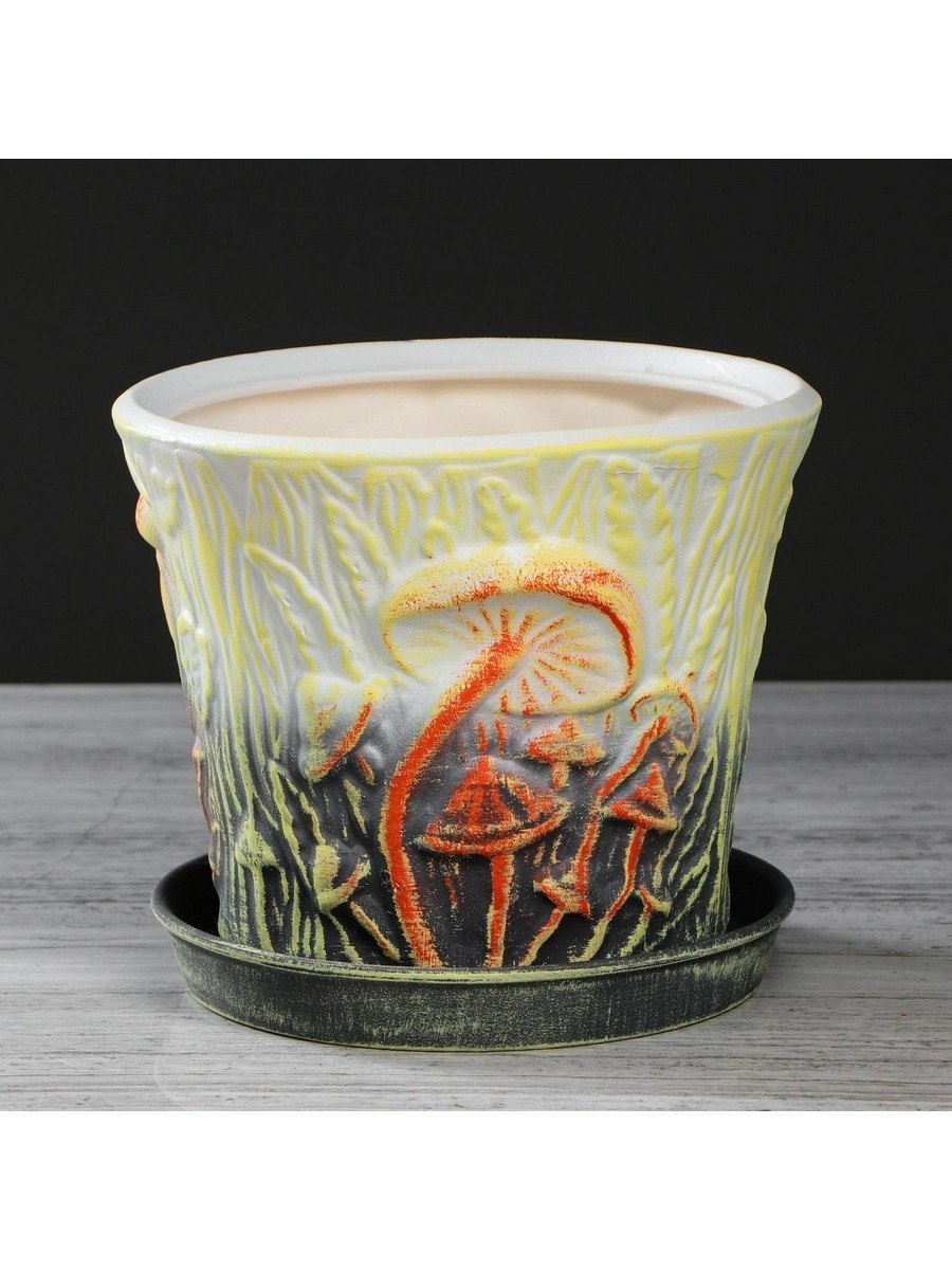 Белый налет на грунте комнатных растений