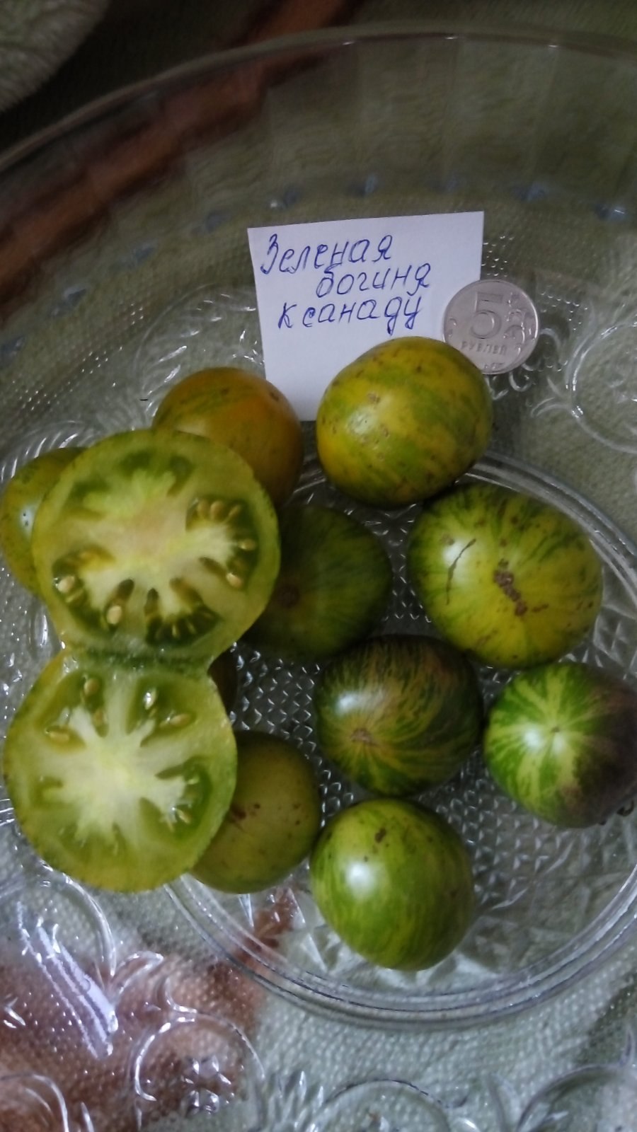 Зеленоплодный томат куст 60-70 см, плоды круглые