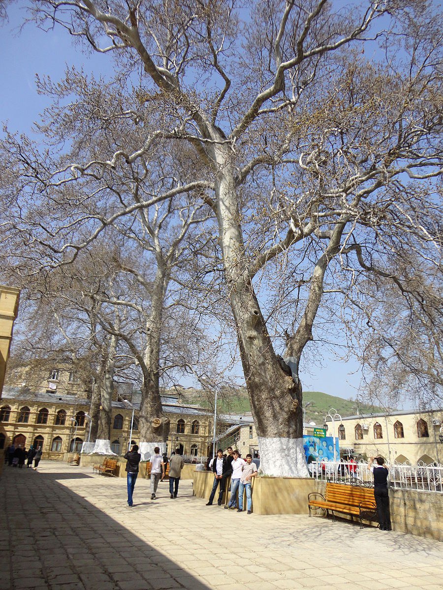Джума мечеть Дербент двор