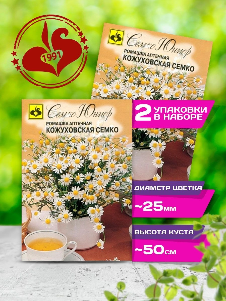 Ромашка аптечная Полевая