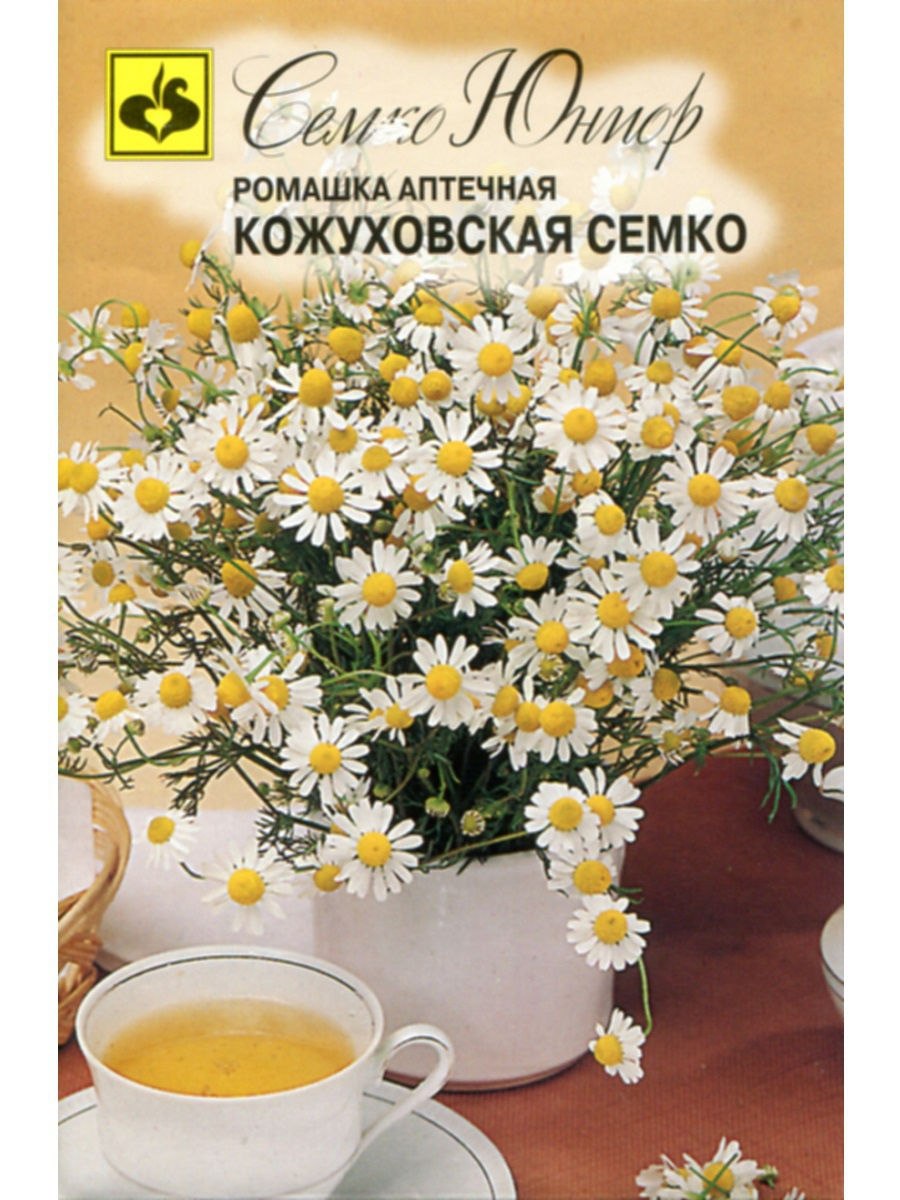 Пупавка красильная