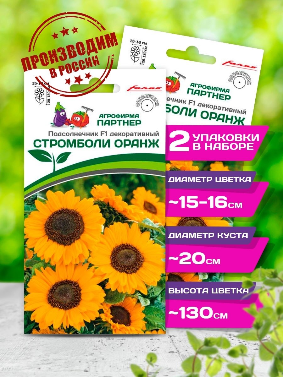 Портрет Лопухиной Лермонтова