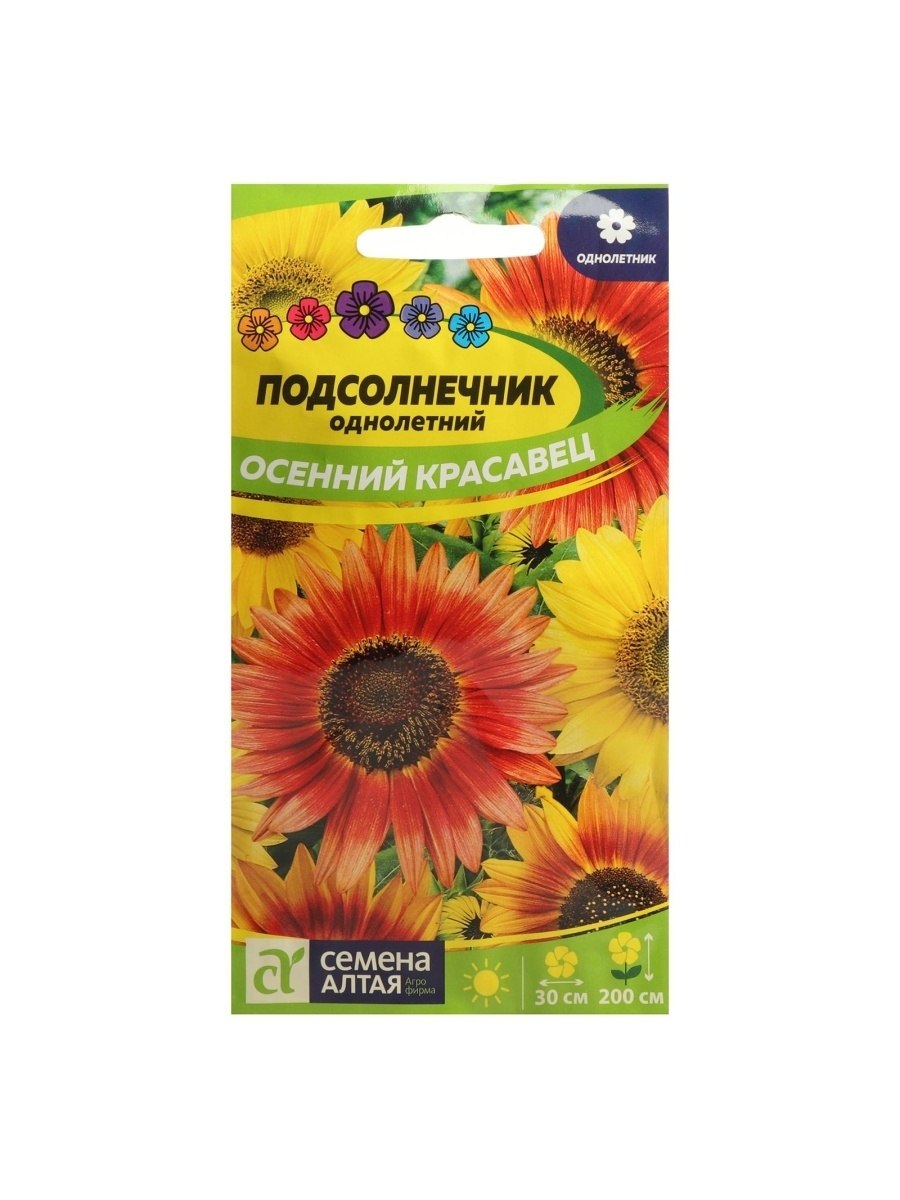 Подсолнечник талон