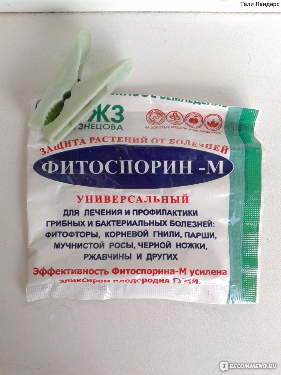 Фитоспорин от гнили