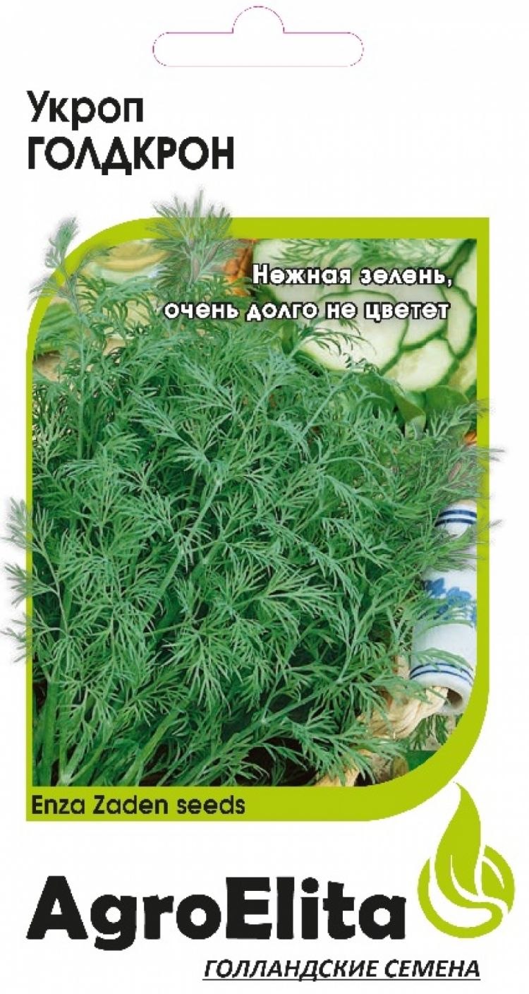 Тетраплоидный сорт укропа Голд крон