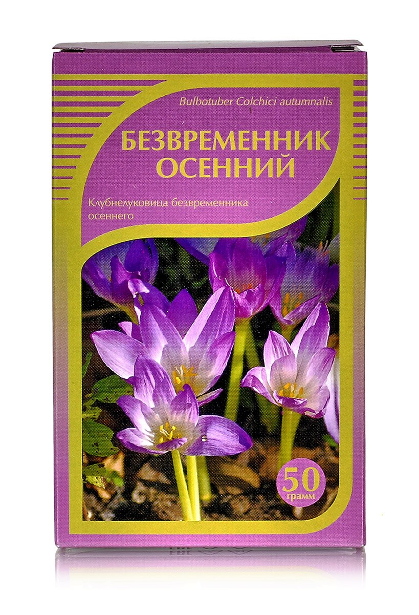 Безвременник Шовица