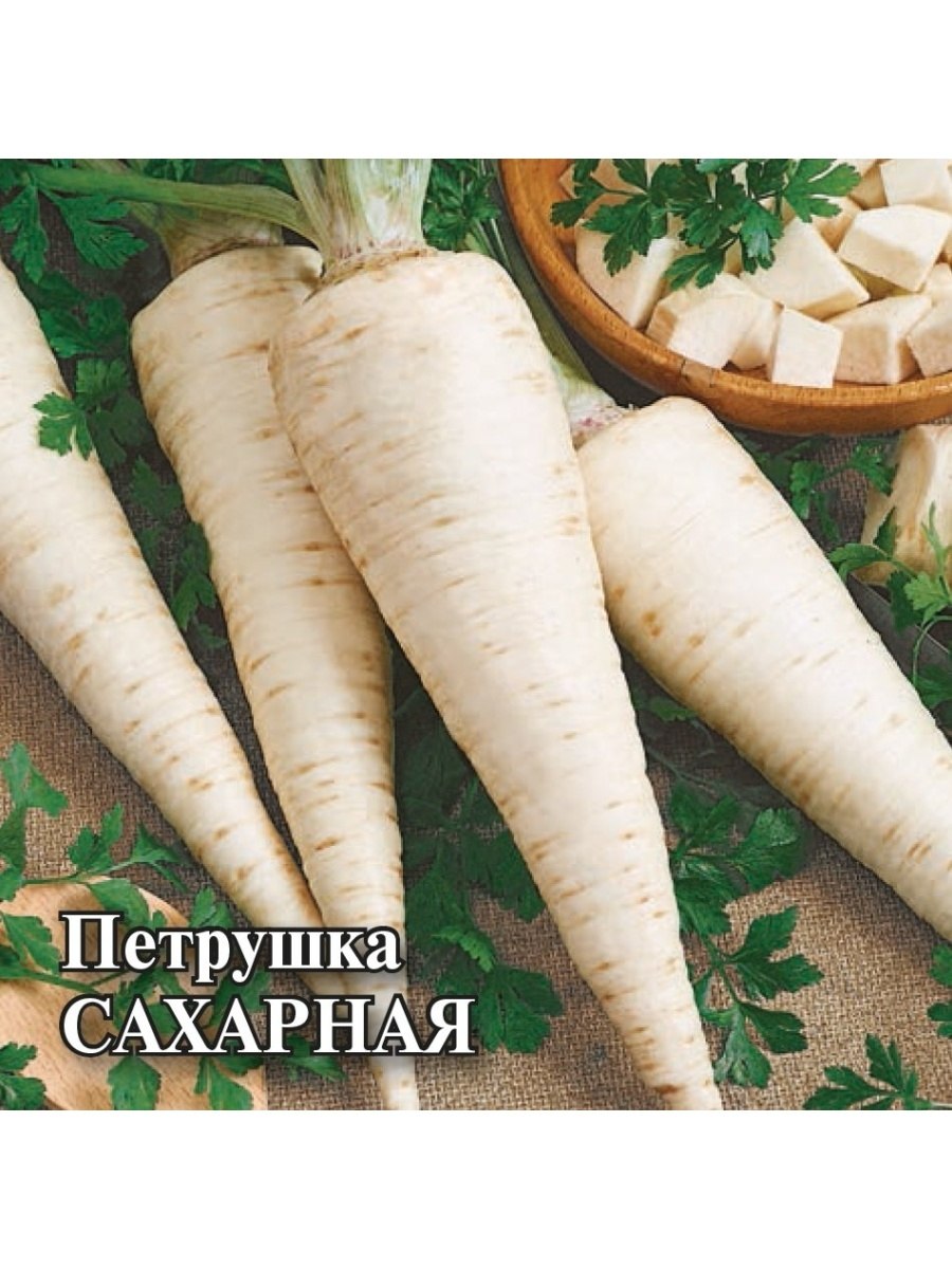 Петрушка корневая сахарная 2г СЕДЕК