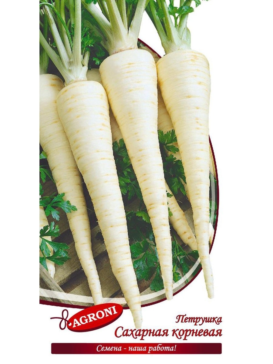 Петрушка корневая сахарная, 2г