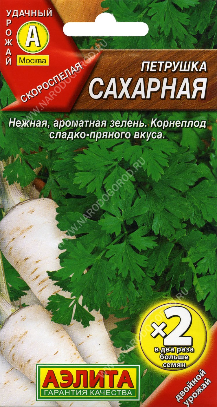 Петрушка корневая сорта