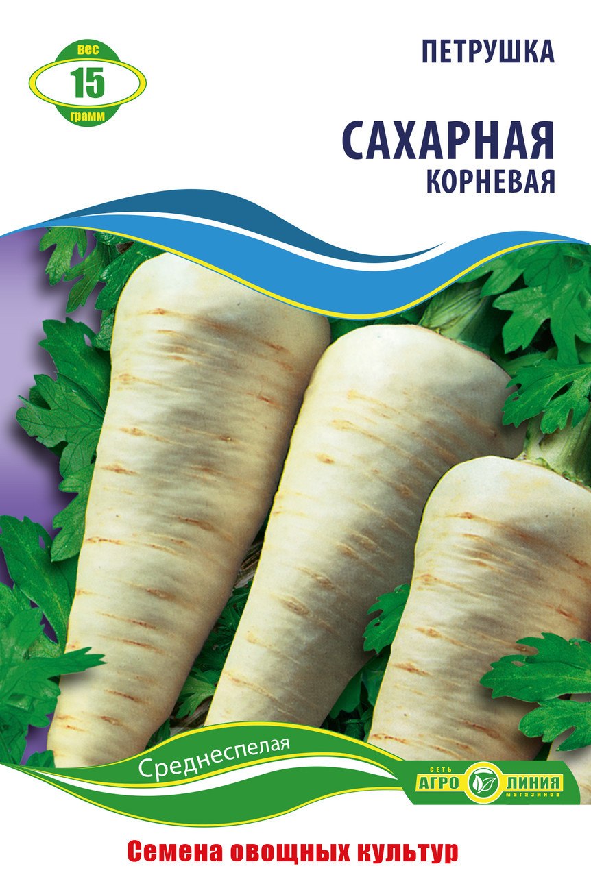 Петрушка корнеплод