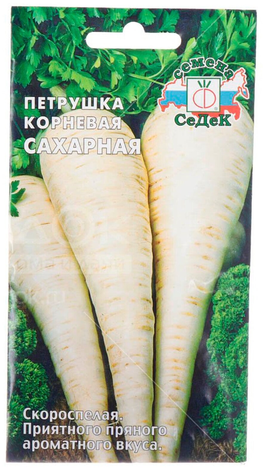 Петрушка корневая сахарная