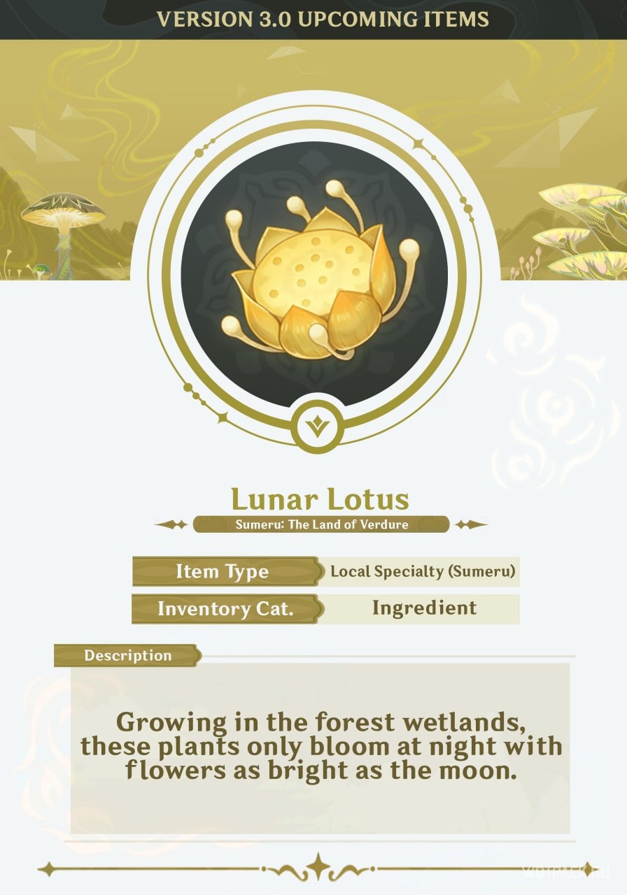 Белый Лотус тайский