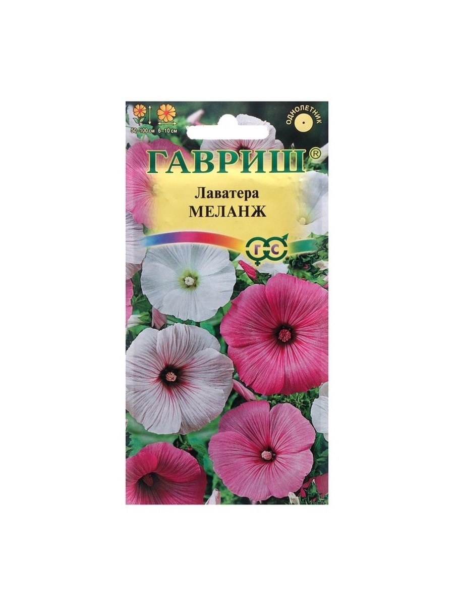 Лаватера тюрингенская