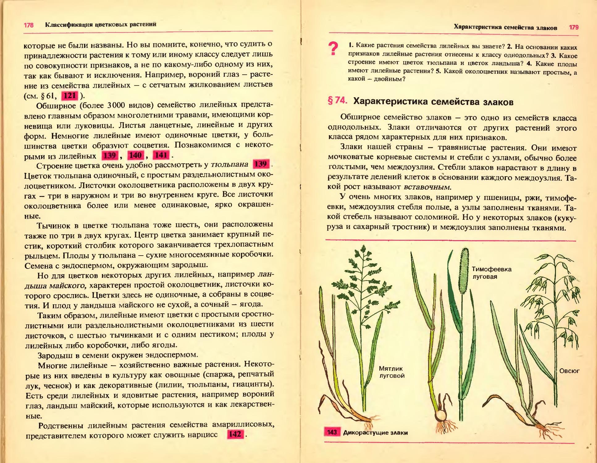 Имеют луковицы семейство лилейные. Лекарственные растения семейства Лилейные. Дикорастущие растения семейства лилейных. Околоцветник ландыша. Семейство Лилейные Тип корневой системы.