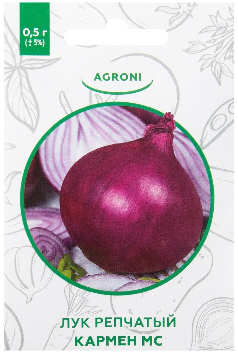 Лук-севок ред Барон