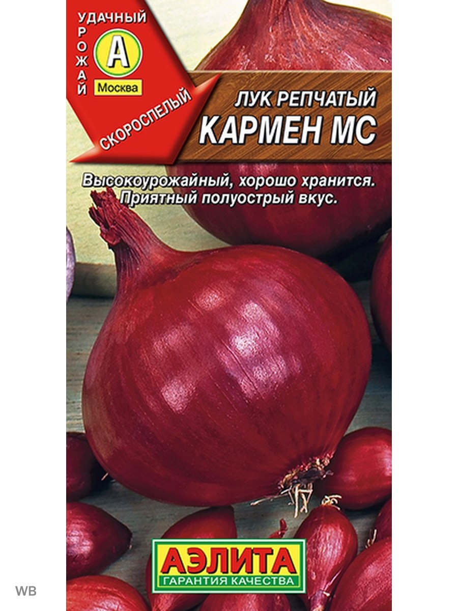 Лук-севок ред Кармен