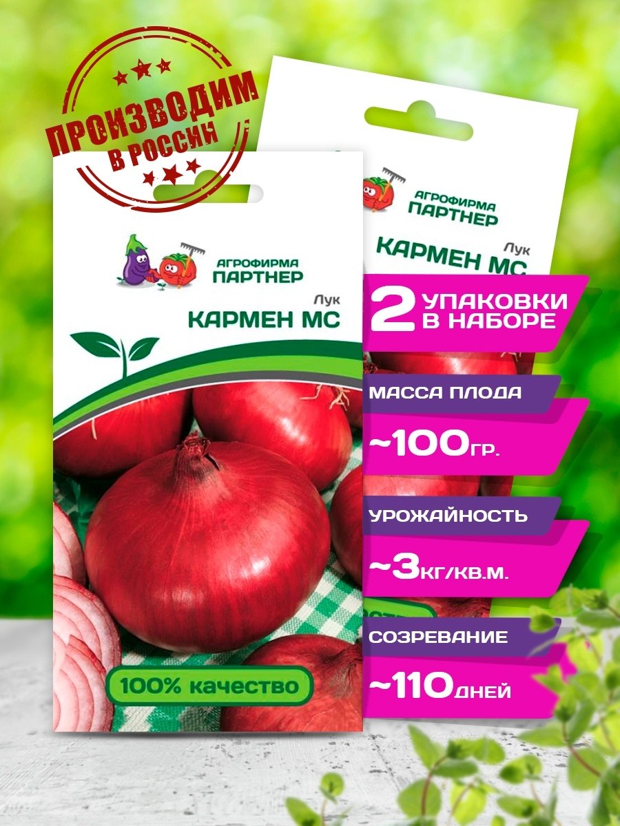 Лук-севок ред Кармен