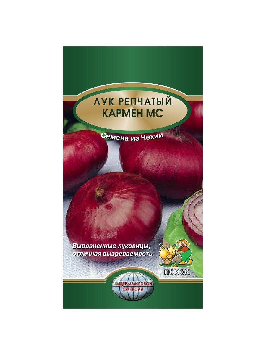 Лук-севок ред Кармен