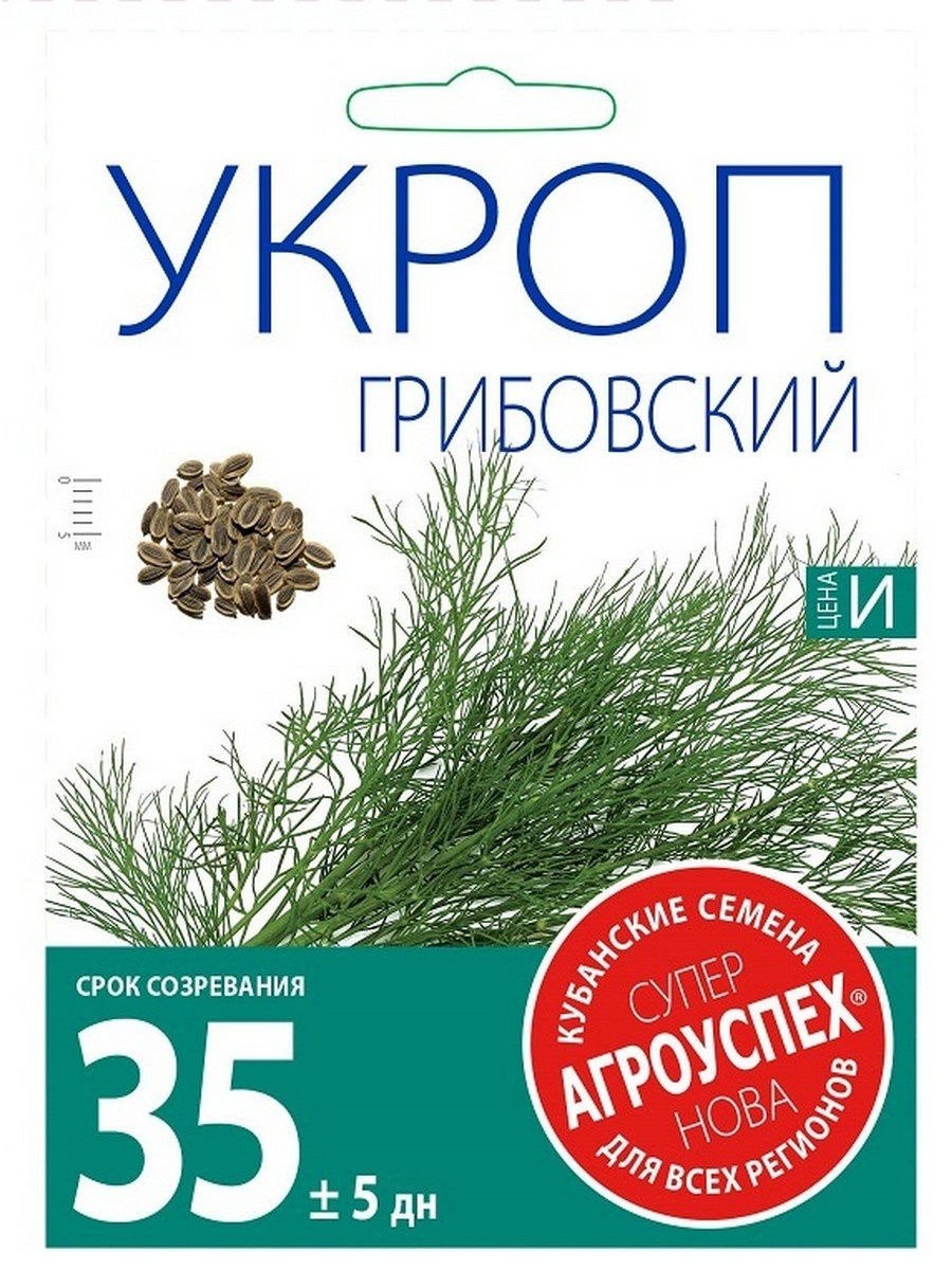 Семена укропа и кинзы