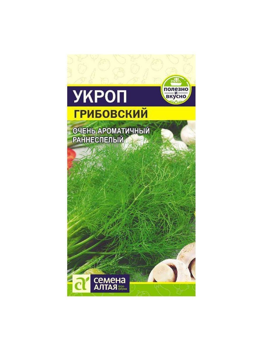 Укроп сорт Грибовский