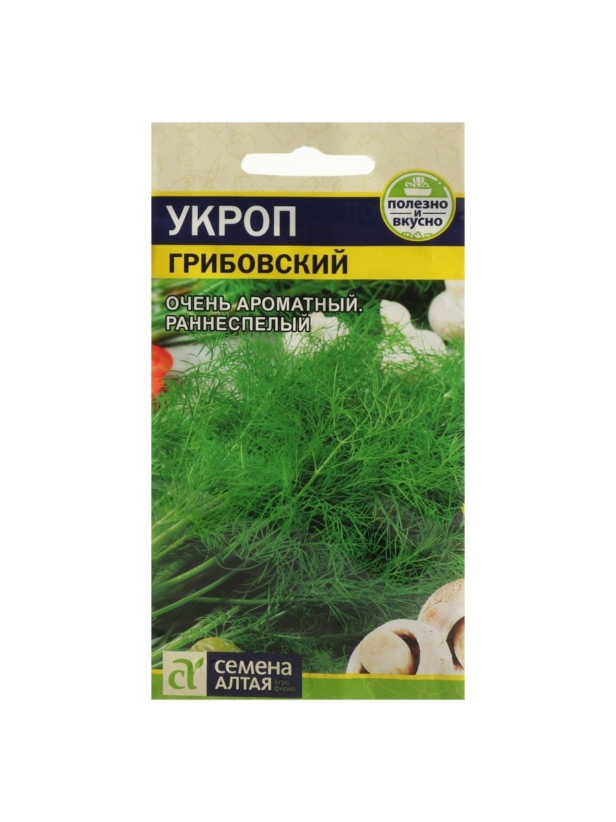 Укроп Грибовский Аэлита