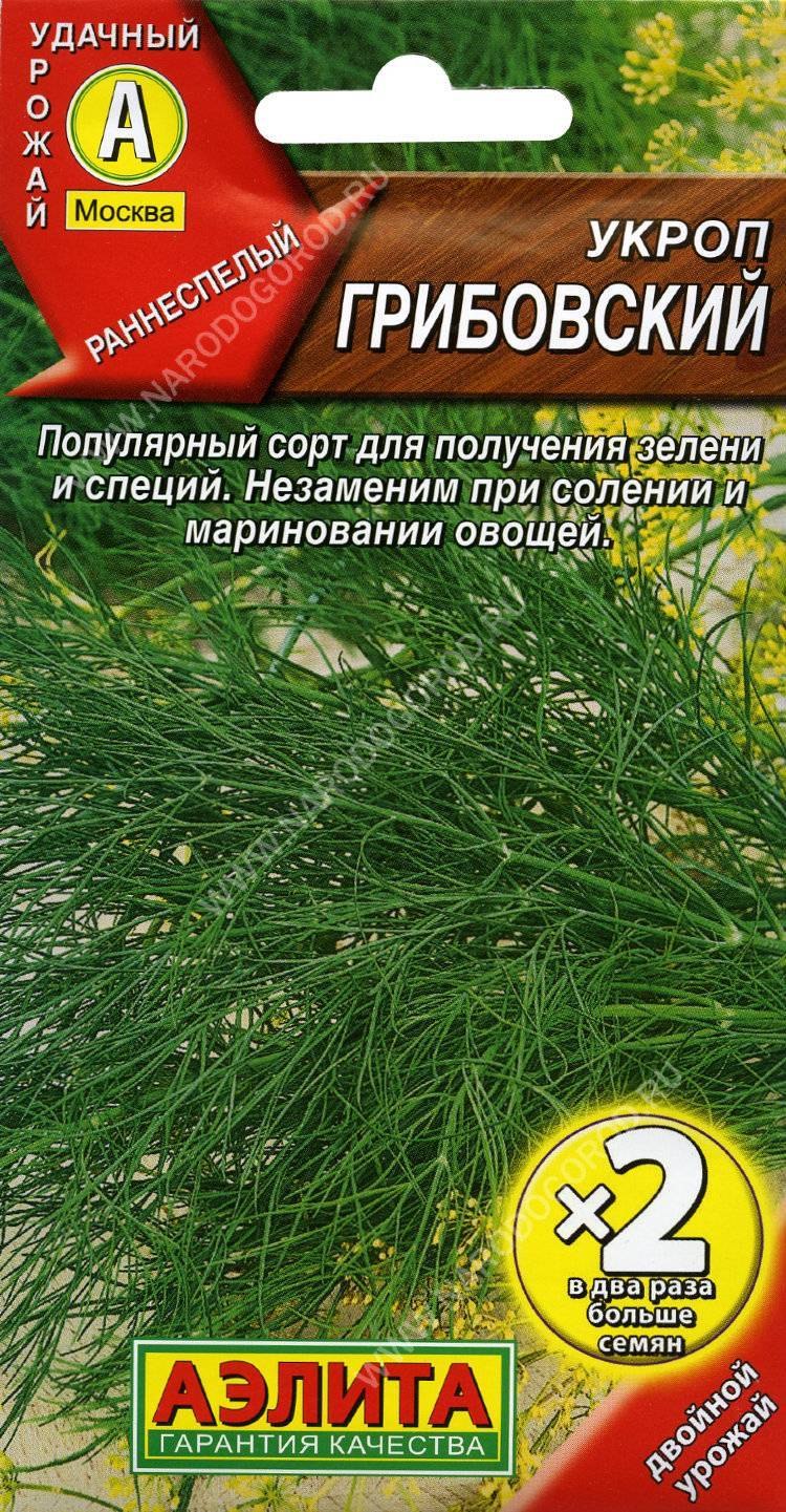 Укроп тетра НК