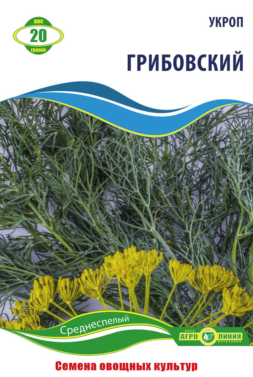 Укроп сорт Грибовский
