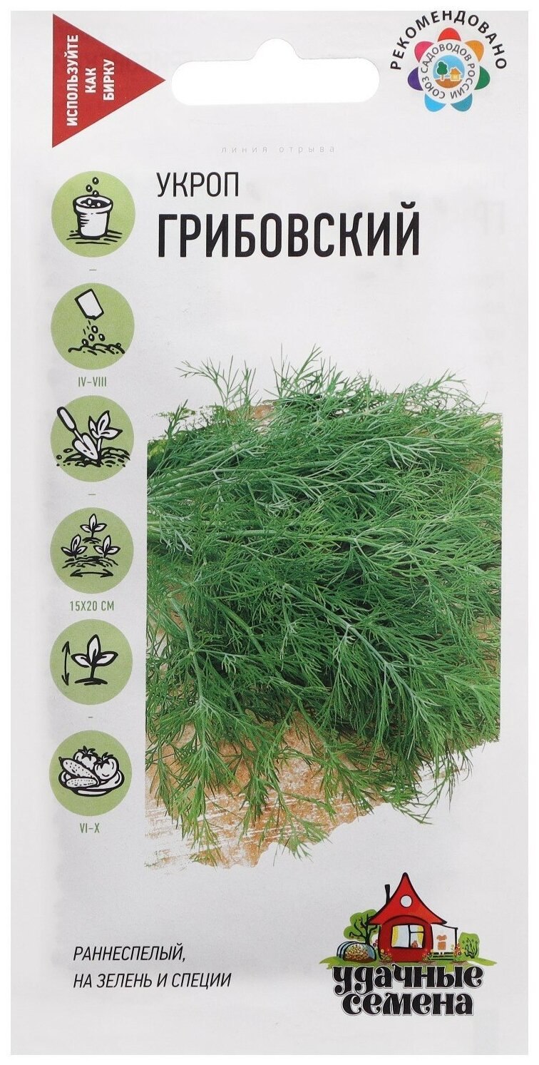 Сорт амброзия укроп