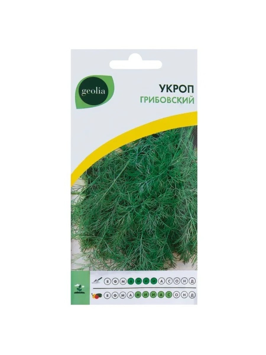Гавриш укроп Грибовский