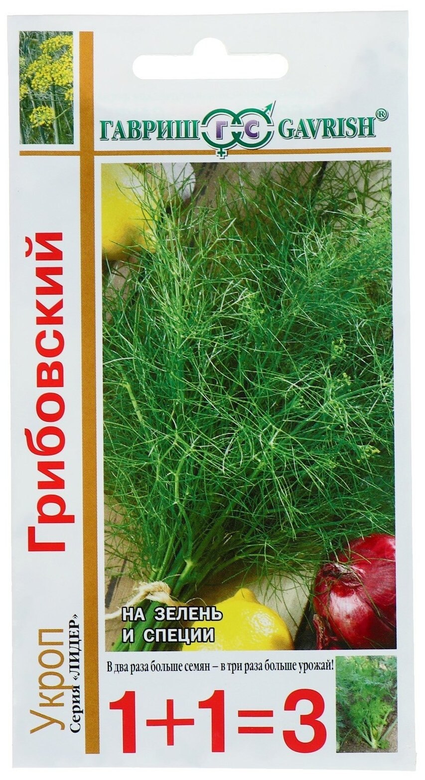Гавриш укроп Грибовский