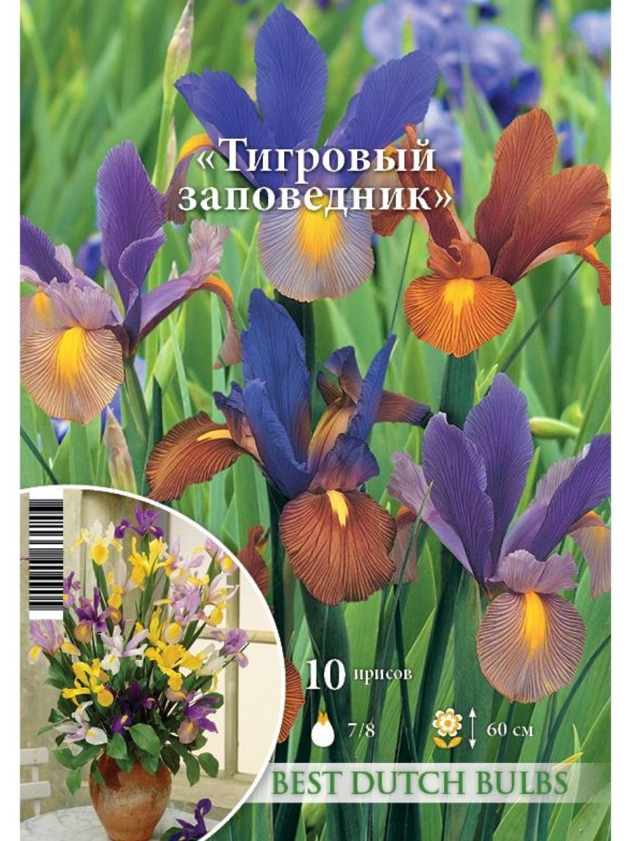 Ирис petit Tigre