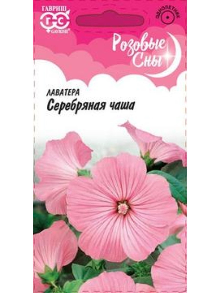 Лаватера чаровница