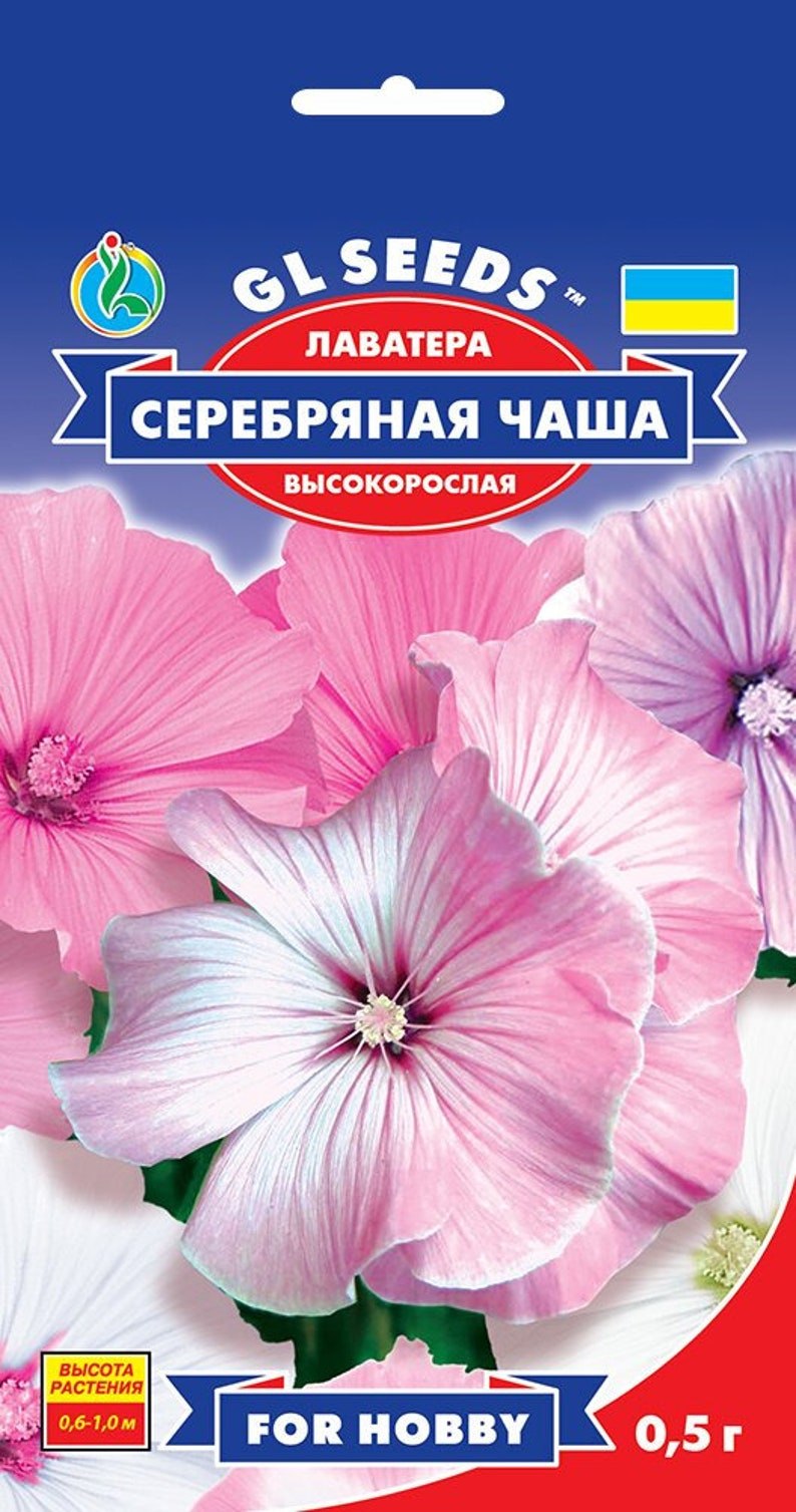 Семена лаватера Серебряна чаша