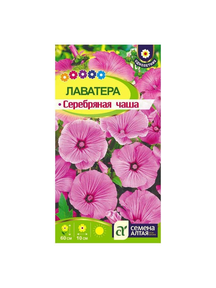 Лаватера Рубиновая