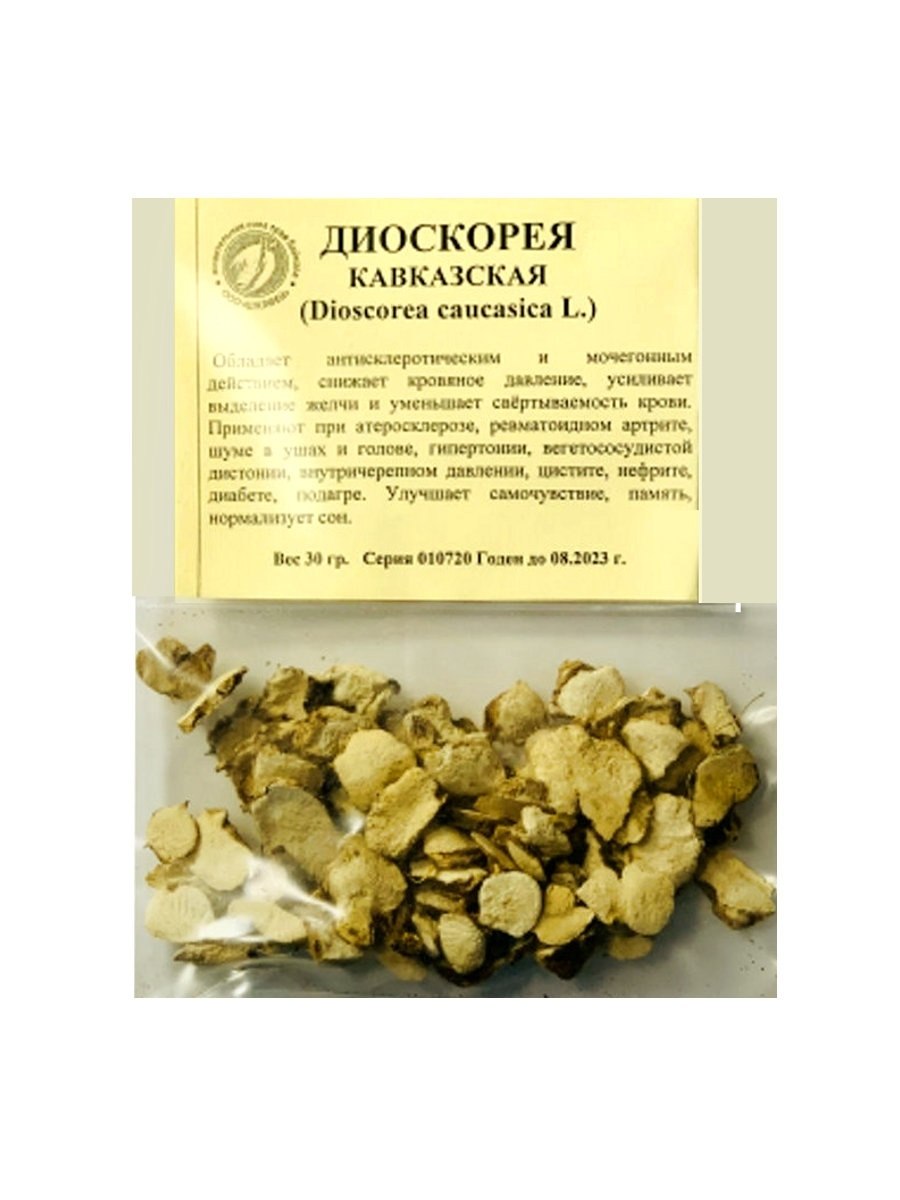 Диоскорея ниппонская