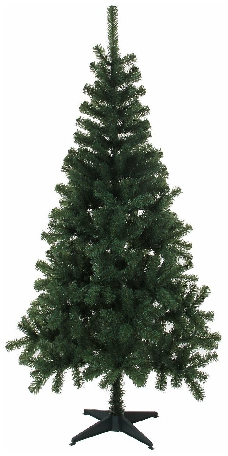 Ель черная эдельвейс нессери