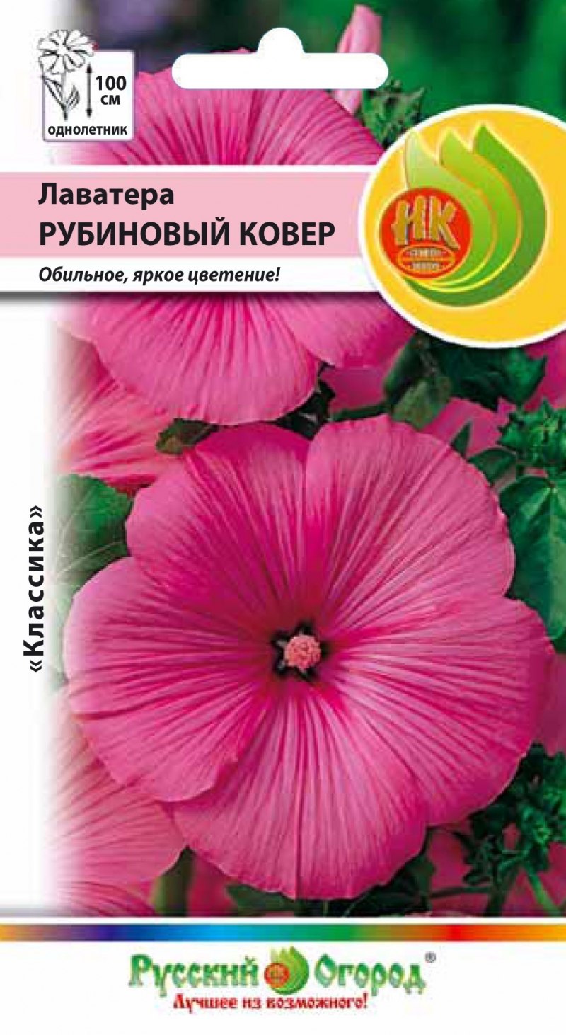 Лаватера хатьма