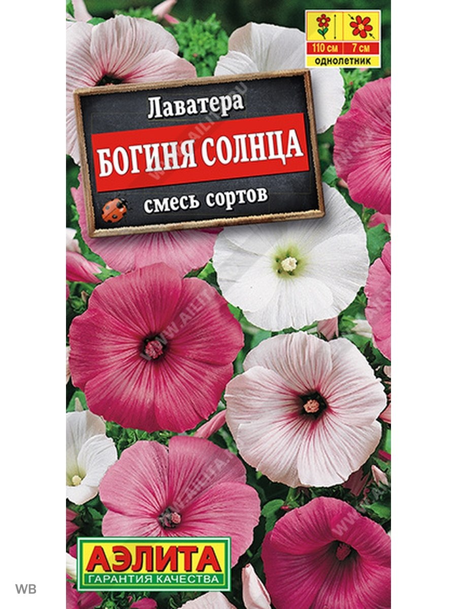 Лаватера Сильвер кап