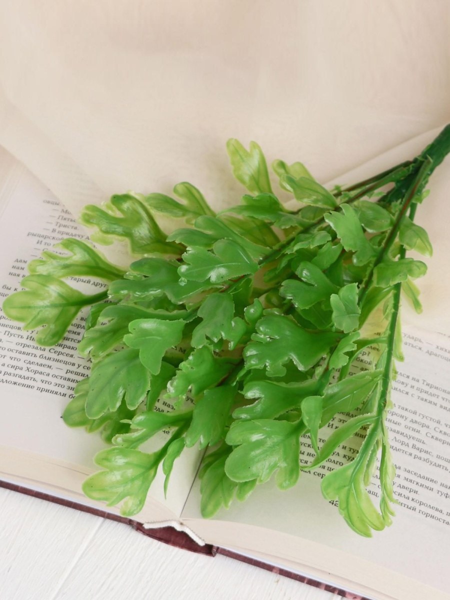 Селагинелла листья