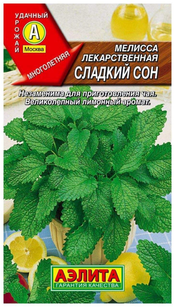 Мелисса лекарственная свежесть Аэлита ц