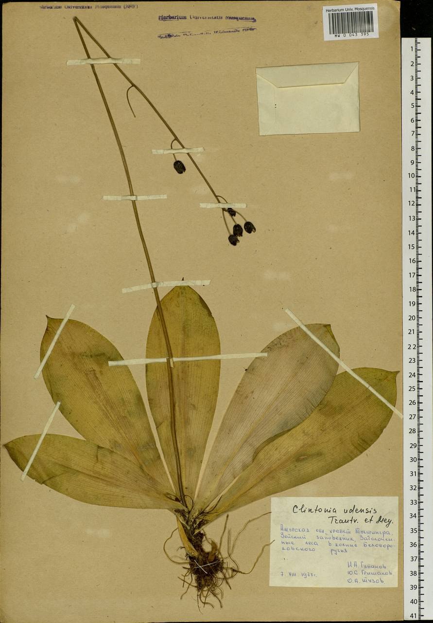 Клинтония удская красная книга