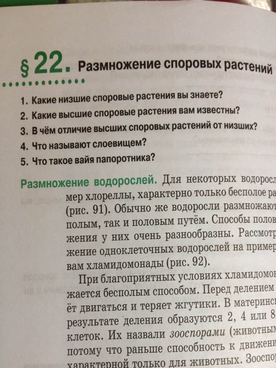 Низшие растения споровые