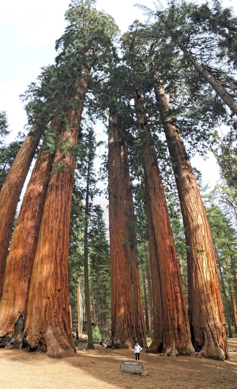 Генерал Шерман