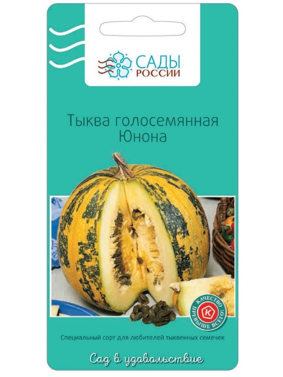 Тыквенные семена без кожуры