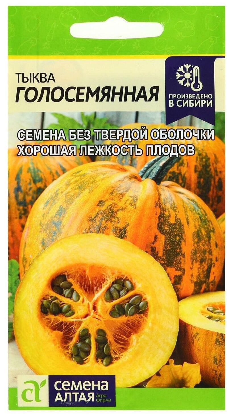 Штирийская голосемянная тыква