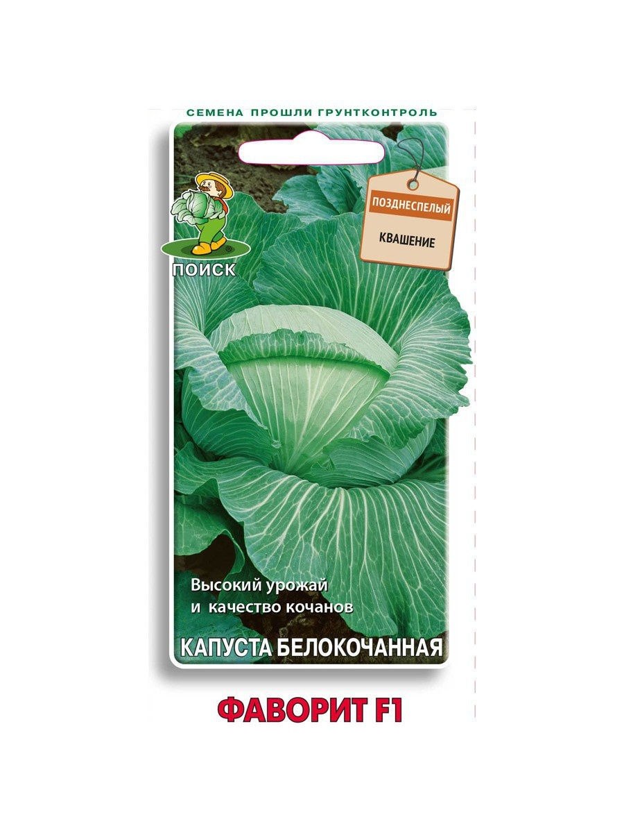 Капуста белокочанная Марчелло