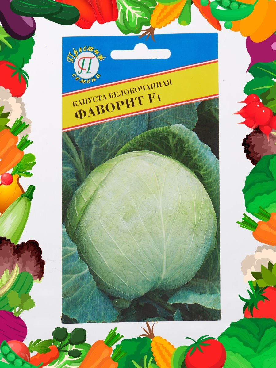 Капуста Пандион