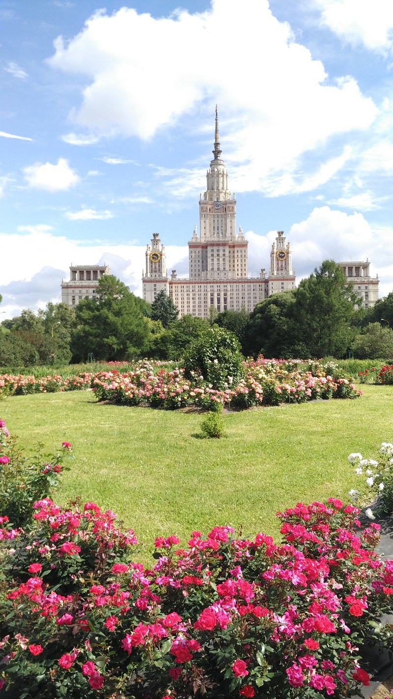 Теплица из старого здания