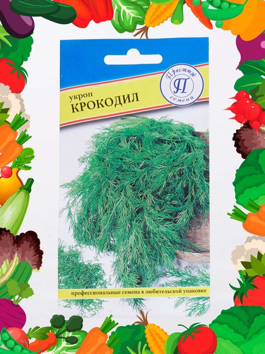 Укроп сорт крокодил